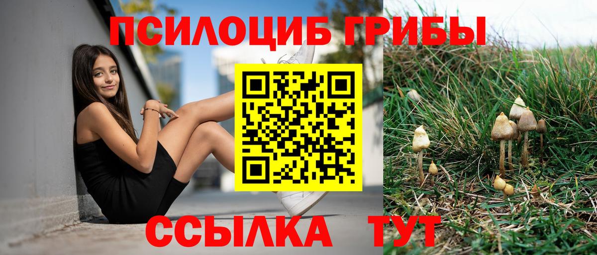 Галлюциногенные грибы мицелий Сургут